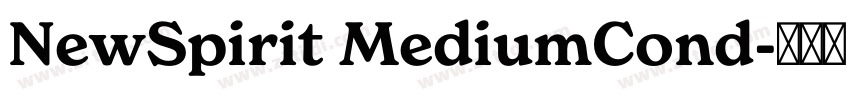 NewSpirit MediumCond字体转换